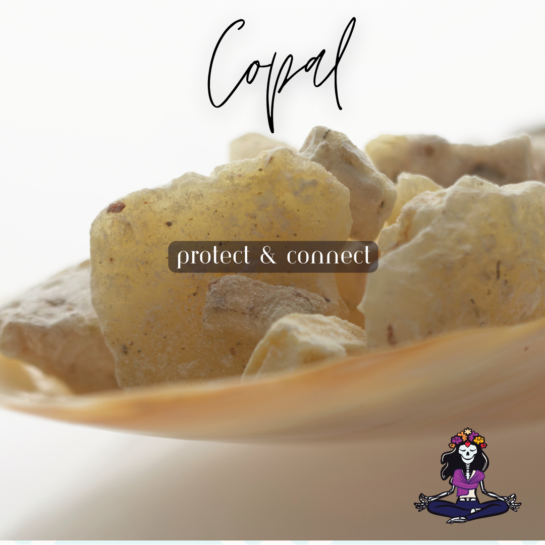 Copal Resin - Image 3